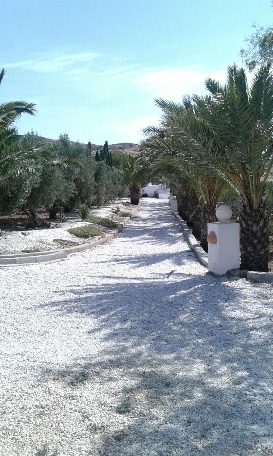 Casas Rurales Cortijo Torreblanca Parque Cabo De Gata Ел Посо де лос Фрайлес Екстериор снимка