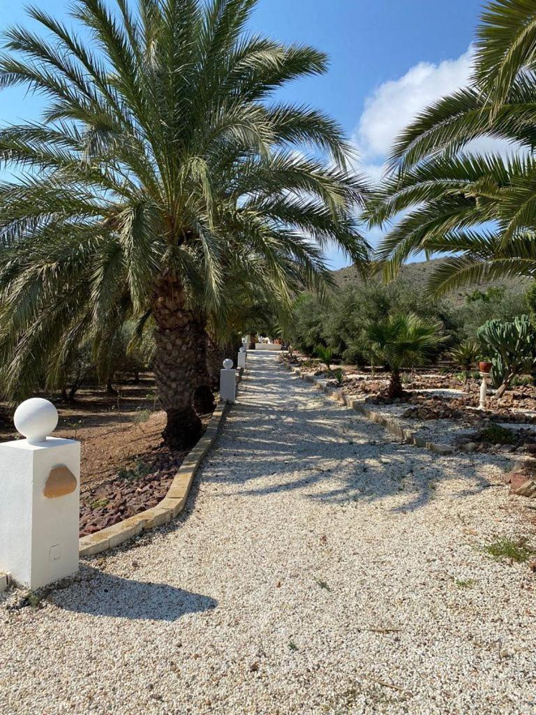 Casas Rurales Cortijo Torreblanca Parque Cabo De Gata Ел Посо де лос Фрайлес Екстериор снимка