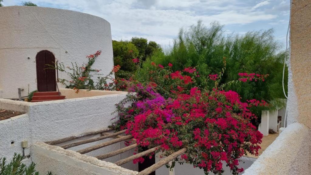 Casas Rurales Cortijo Torreblanca Parque Cabo De Gata Ел Посо де лос Фрайлес Екстериор снимка