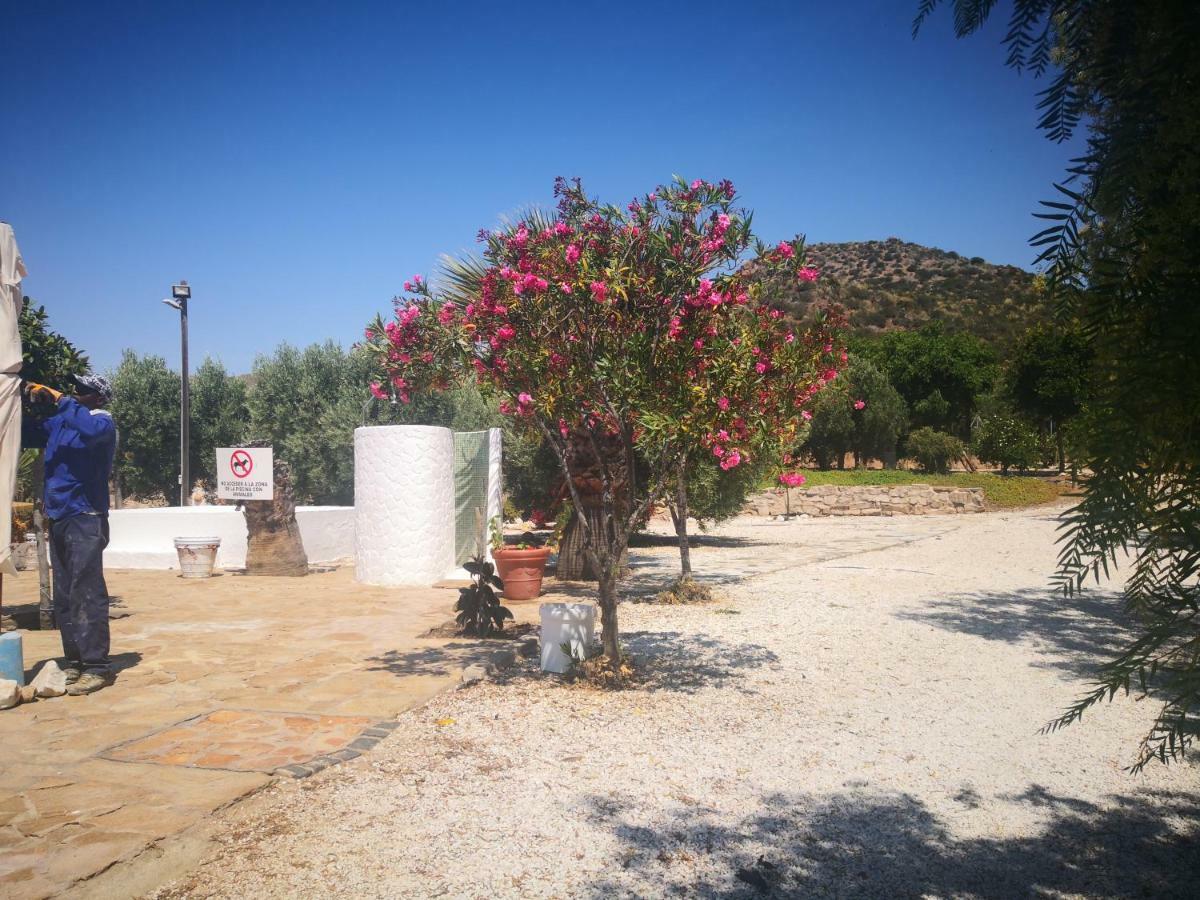 Casas Rurales Cortijo Torreblanca Parque Cabo De Gata Ел Посо де лос Фрайлес Екстериор снимка